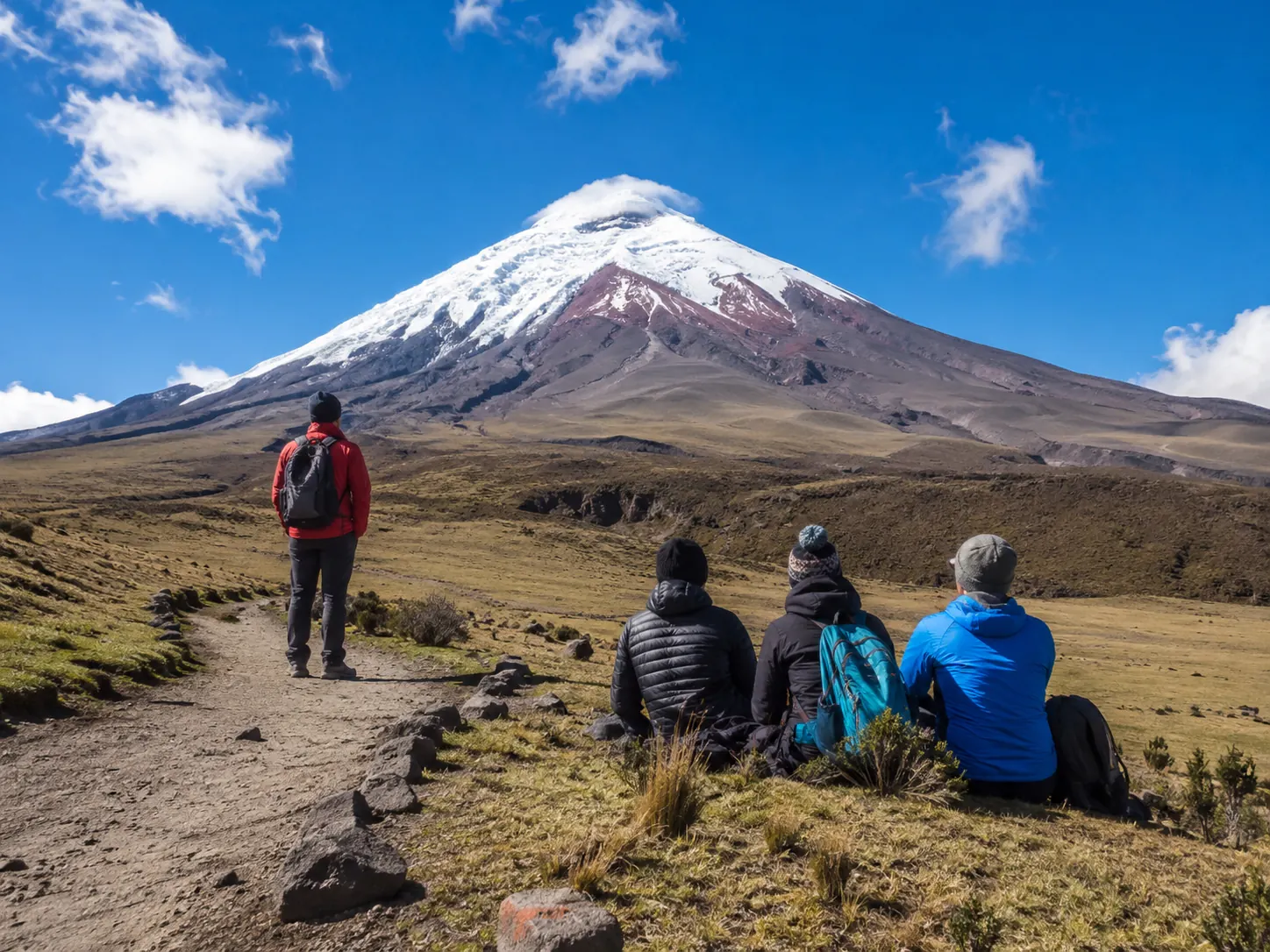 Cotopaxi Day Trip from Quito
